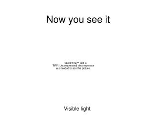 Now you see it