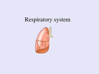 Respiratory system