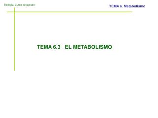 TEMA 6.3 EL METABOLISMO