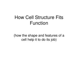 How Cell Structure Fits Function