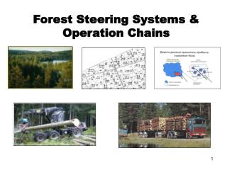 Forest Steering Systems &amp; Operation Chains
