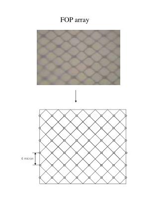 6 micron