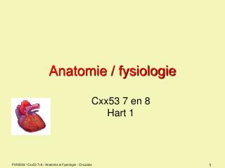 Anatomie / fysiologie