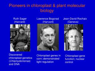 Pioneers in chloroplast &amp; plant molecular biology