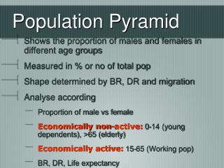 Population Pyramid