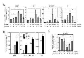 Protein concentration (pg/ml)