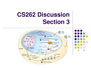 CS262 Discussion Section 3