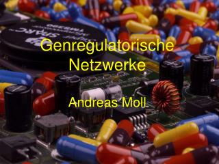 Genregulatorische Netzwerke Andreas Moll