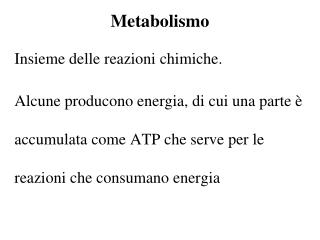 Metabolismo