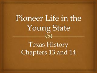 Pioneer Life in the Young State