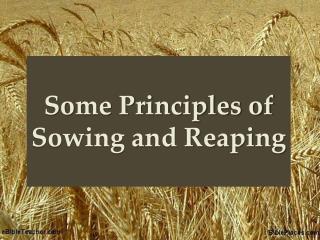 Some Principles of Sowing and Reaping