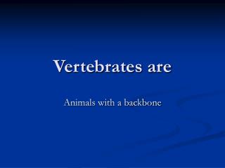 Vertebrates are