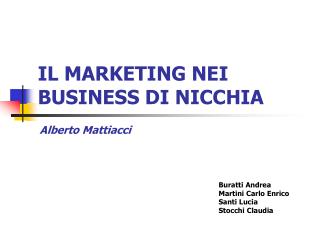 IL MARKETING NEI BUSINESS DI NICCHIA