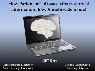 How Parkinson’s disease affects cortical information flow: A multiscale model