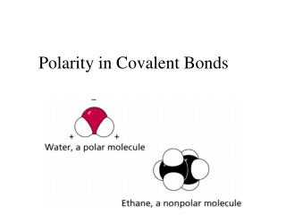 Polarity in Covalent Bonds