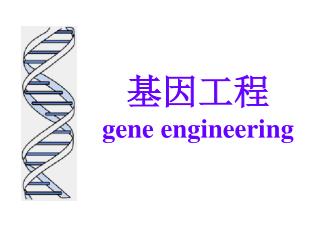 基因工程 gene engineering