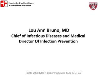Lou Ann Bruno, MD Chief of Infectious Diseases and Medical Director Of Infection Prevention