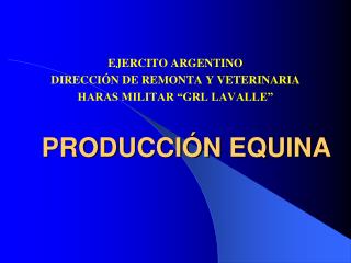 PRODUCCIÓN EQUINA