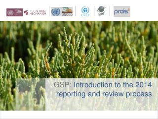 GSP: Introduction to the 2014 reporting and review process