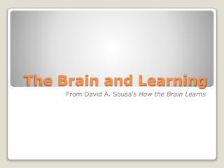 The Brain and Learning