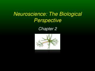 Neuroscience: The Biological Perspective