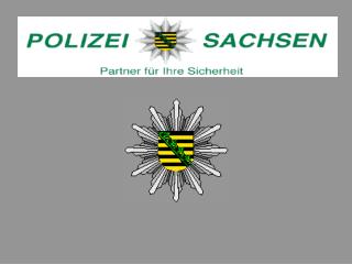 Die Polizei im Internet: 			präventiv 	repressiv informativ