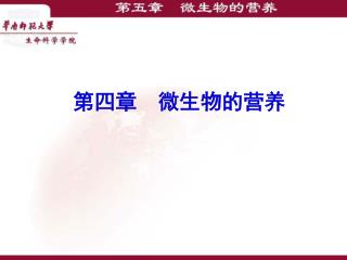 第四章 微生物的营养