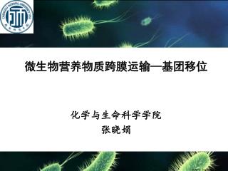 微生物营养物质跨膜运输 — 基团移位 化学与生命科学学院 张晓娟