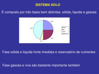 SISTEMA SOLO