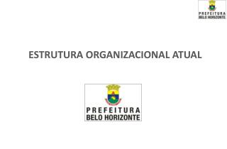 ESTRUTURA ORGANIZACIONAL ATUAL