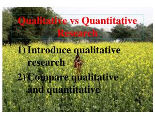 Qualitative vs Quantitative Research