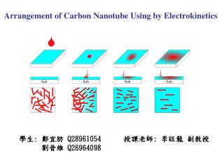 Arrangement of Carbon Nanotube Using by Electrokinetics