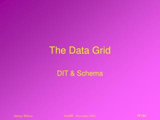 The Data Grid