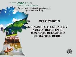 COFO 2010/6.3