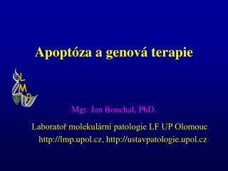Apoptóza a genová terapie