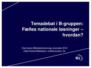 Temadebat i B-gruppen: Fælles nationale løsninger – hvordan?