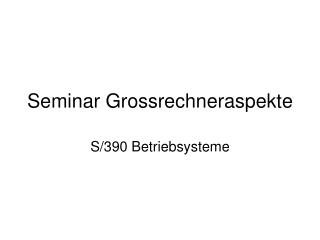 Seminar Grossrechneraspekte