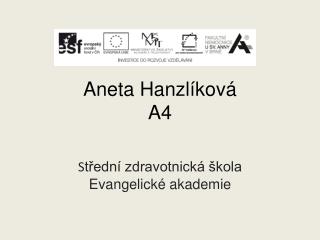 Aneta Hanzlíková A4