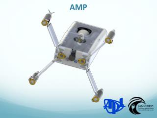 AMP