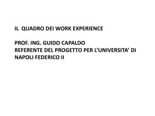 IL QUADRO DEI WORK EXPERIENCE PROF. ING. GUIDO CAPALDO