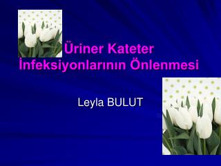 Üriner Kateter İnfeksiyonlarının Önlenmesi