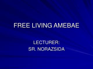 FREE LIVING AMEBAE