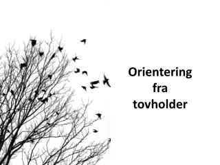 Orientering fra tovholder