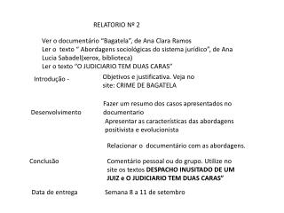 RELATORIO Nº 2