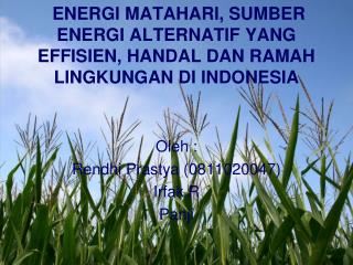 ENERGI MATAHARI, SUMBER ENERGI ALTERNATIF YANG EFFISIEN, HANDAL DAN RAMAH LINGKUNGAN DI INDONESIA