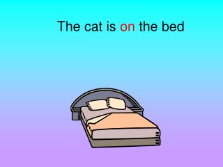 The cat is on the bed