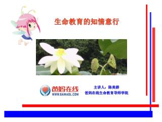 生命教育的知情意行