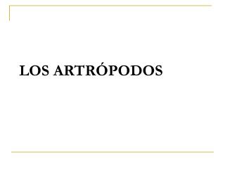 LOS ARTRÓPODOS