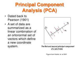 Principal Component Analysis (PCA)