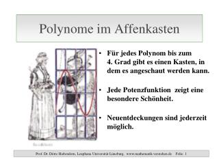 Polynome im Affenkasten